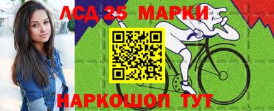 гашик Новозыбков