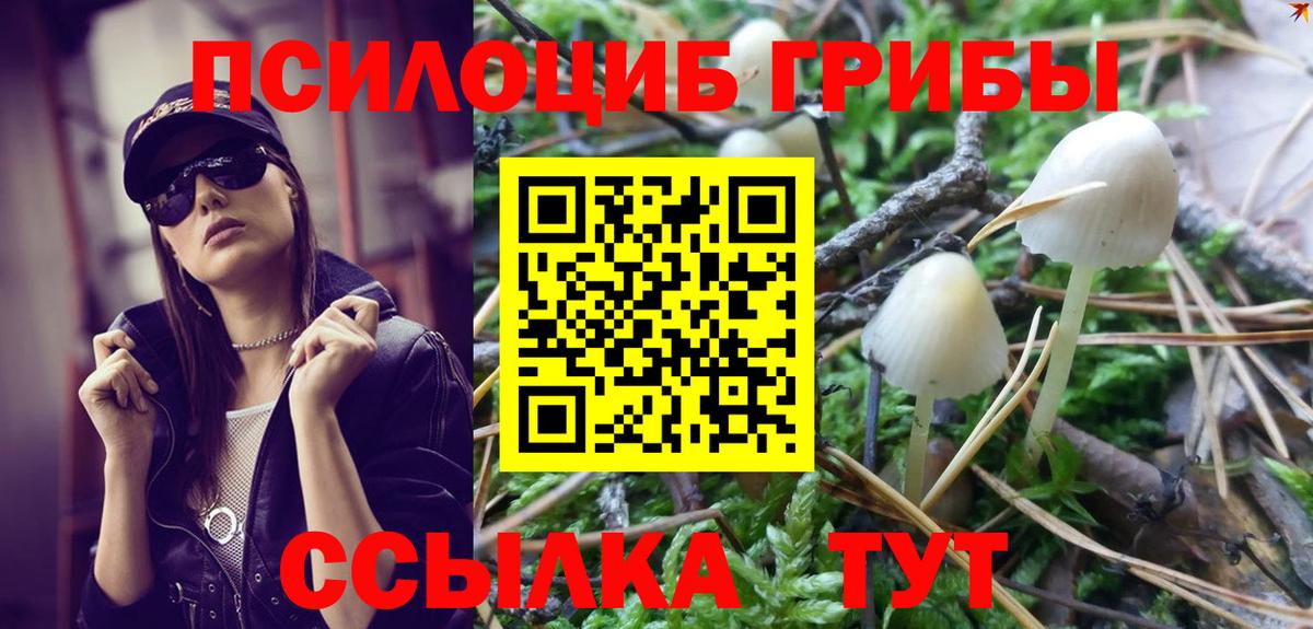 Псилоцибиновые грибы GOLDEN TEACHER Новотроицк
