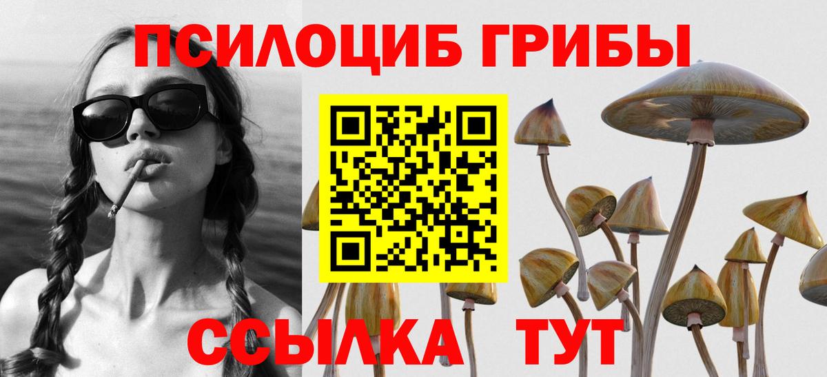 Галлюциногенные грибы прущие грибы  Вход с VPN  Новотроицк 